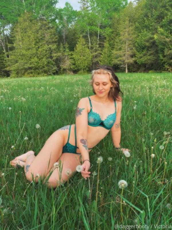 This videography is amazing!