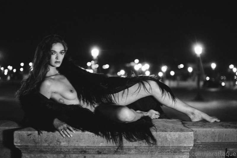Wild animal in Paris