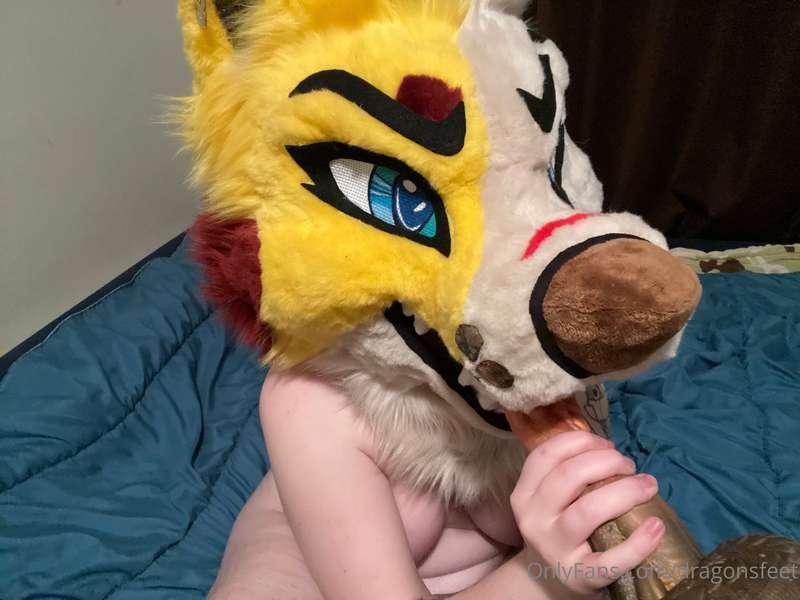 Wonder if I could fit the whole thing~