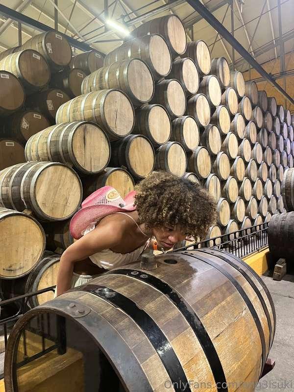 Got to visit the Jose Cuervo factory in tequila! So cool how..