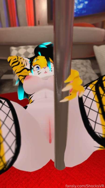 shocksvr image #5