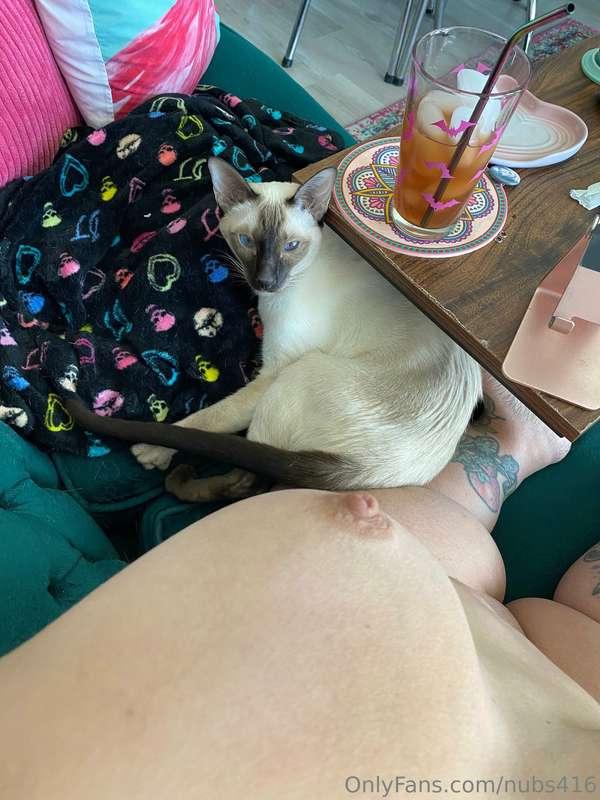 Good morning and Happy Caturday!! 😽 Today I plan to stay nak..
