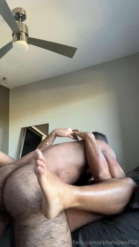 alphatopwolf22 image #26