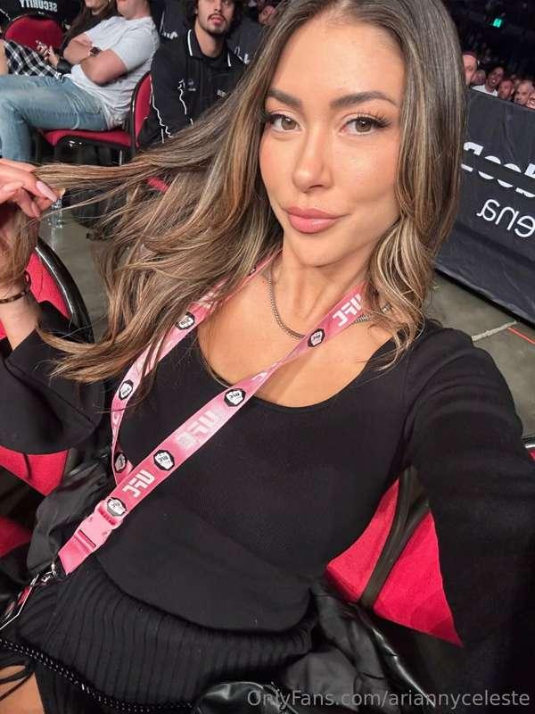 UFC 293