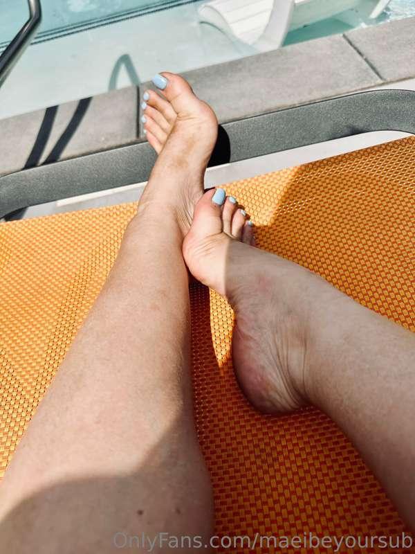 Want to see more of these little piggies? 
First fan to tip ..