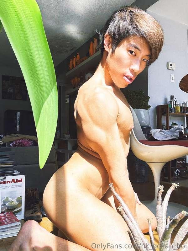 hk_ocean_boi image #0