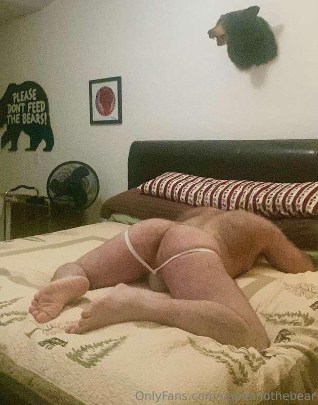 papaandthebear image #8