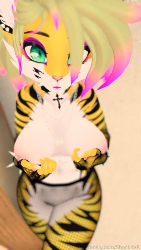 shocksvr image #12