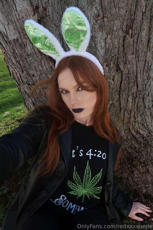 Was I a cute 4/20 Easter bunny? 🐰💚🍃
