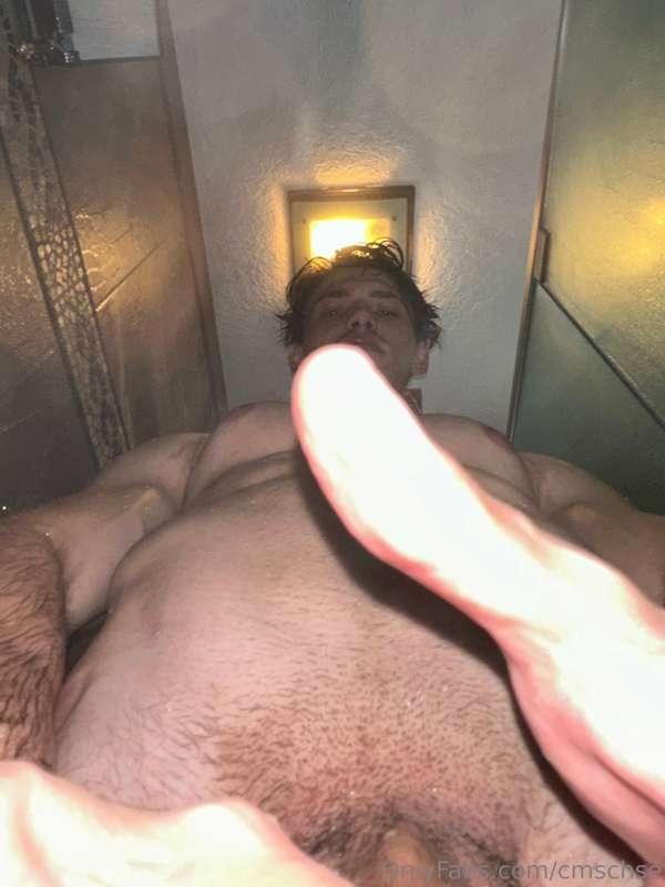 cmschse image #1