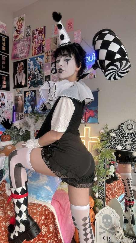 indigowhite image #60