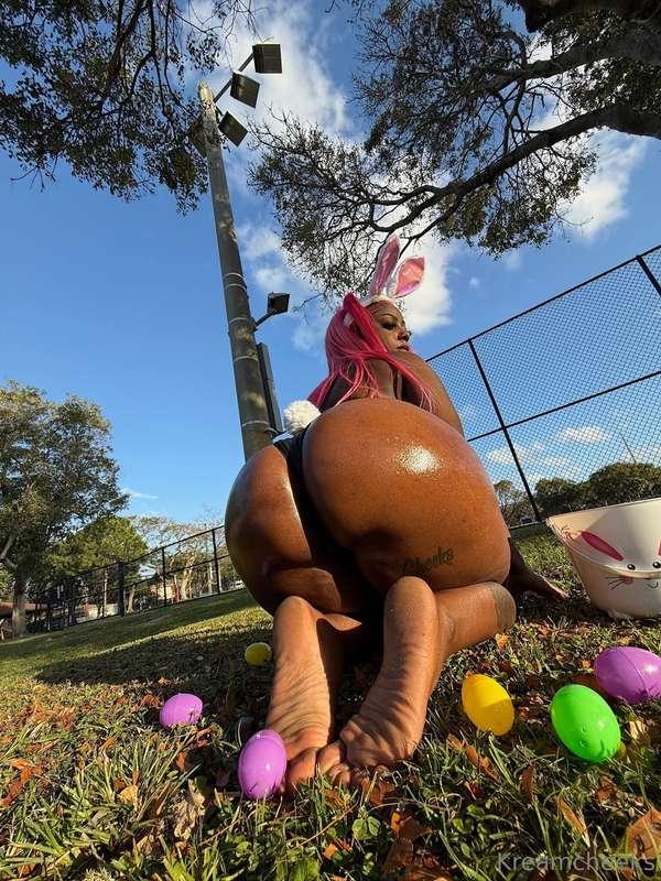 Happy Easter 🐰 