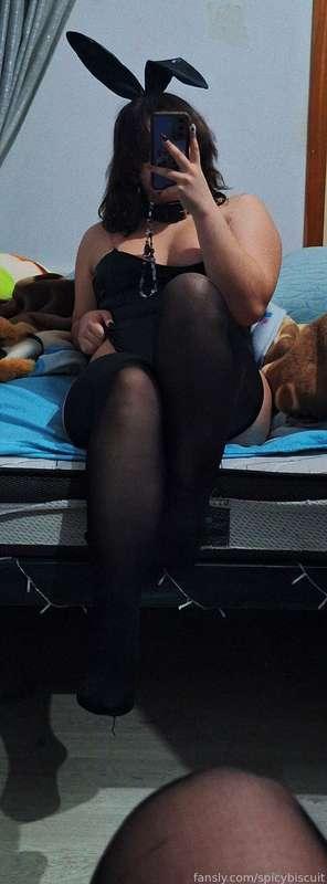 spicybiscuit image #2