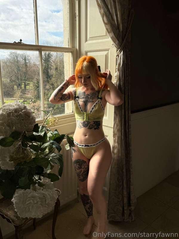 starryfawnn image #24