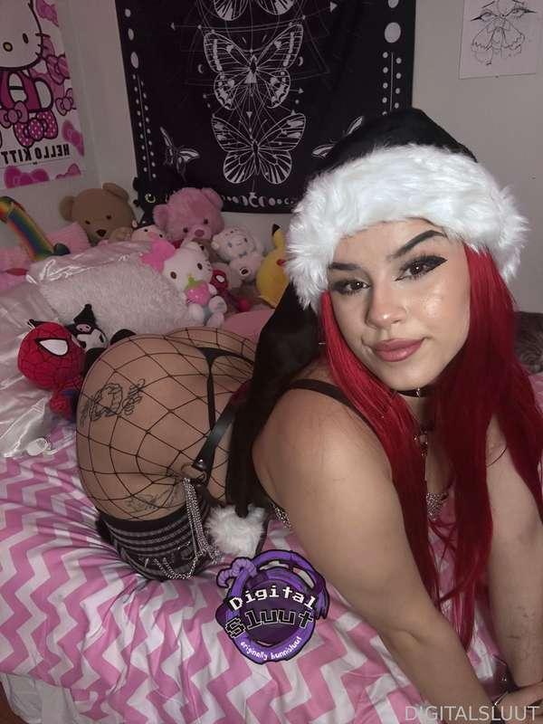 bunnisluut image #3