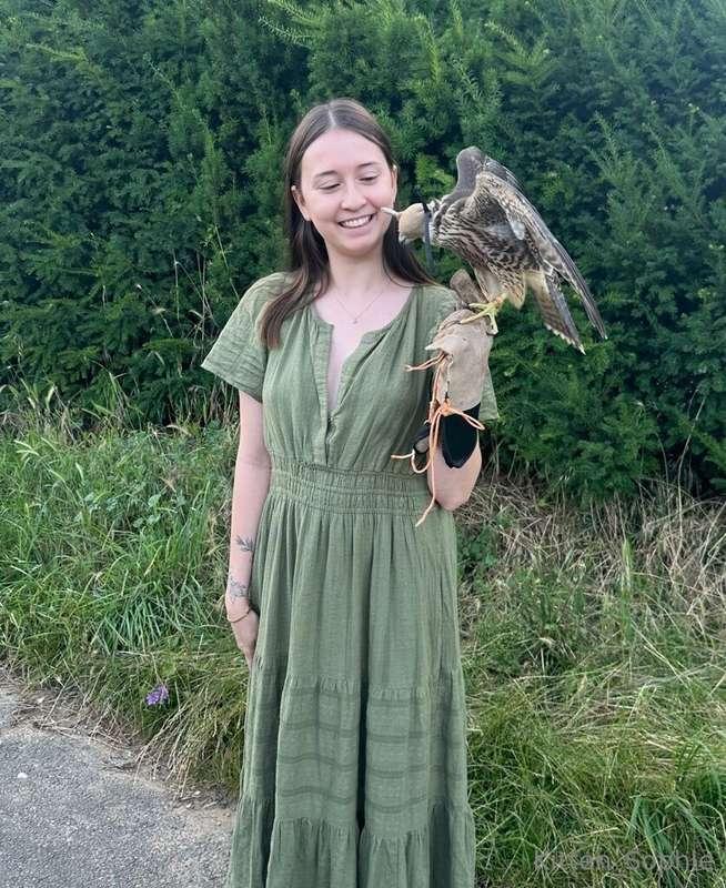 Just found a guy training a peregrine falcon outside my hous..