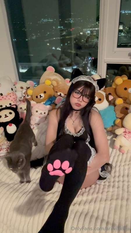 Two cute kitties in one pic 😽