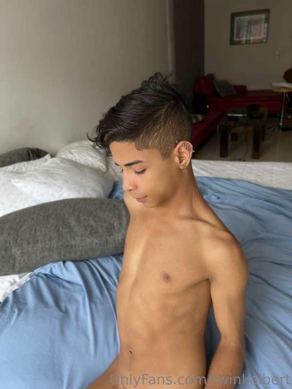 twinkalbert main image