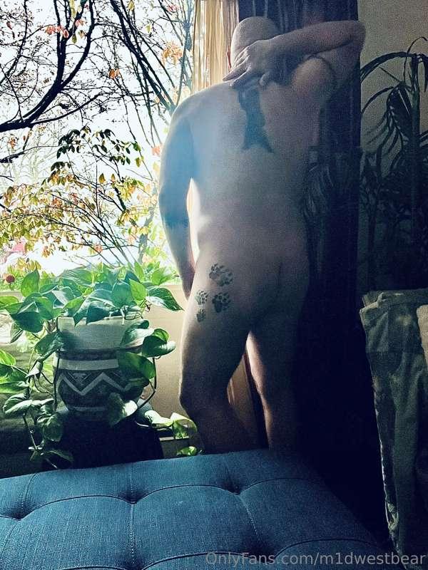 m1dwestbear image #7
