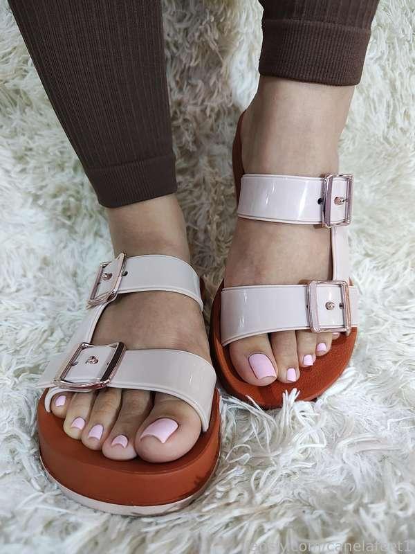 canelafeet1 image #1