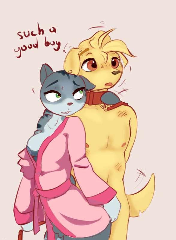 Cat and dog