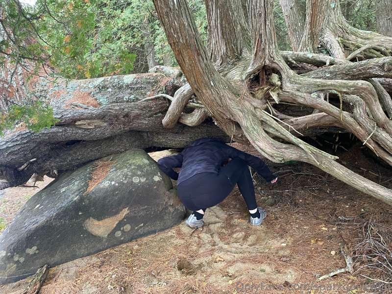 sparxgonewild image #0
