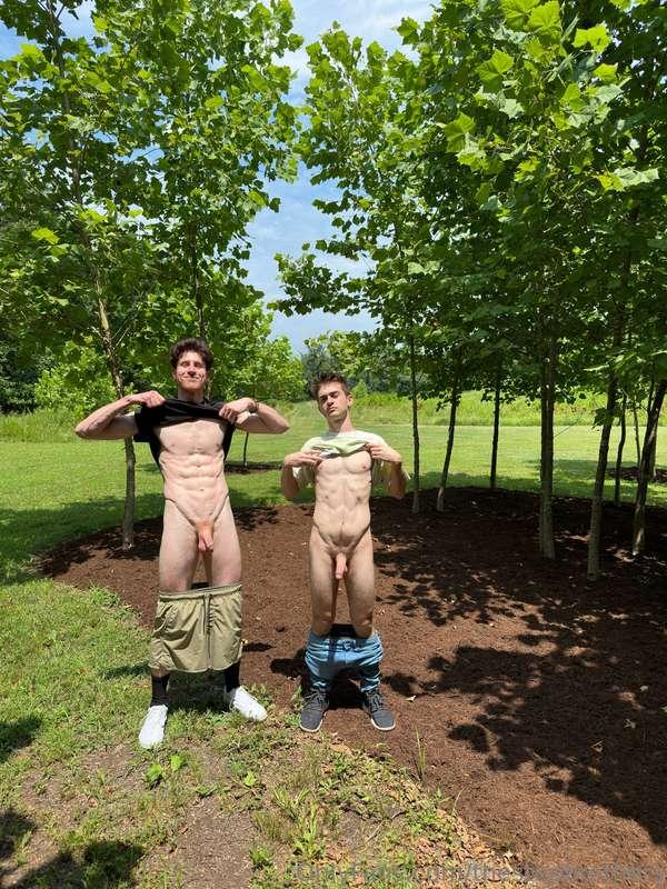 thestepbrothers image #1
