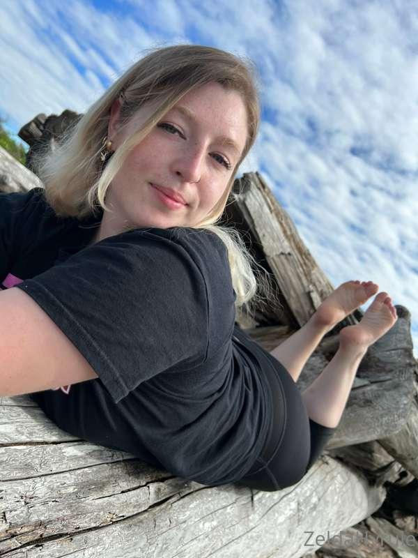 zeldahyrule image #7