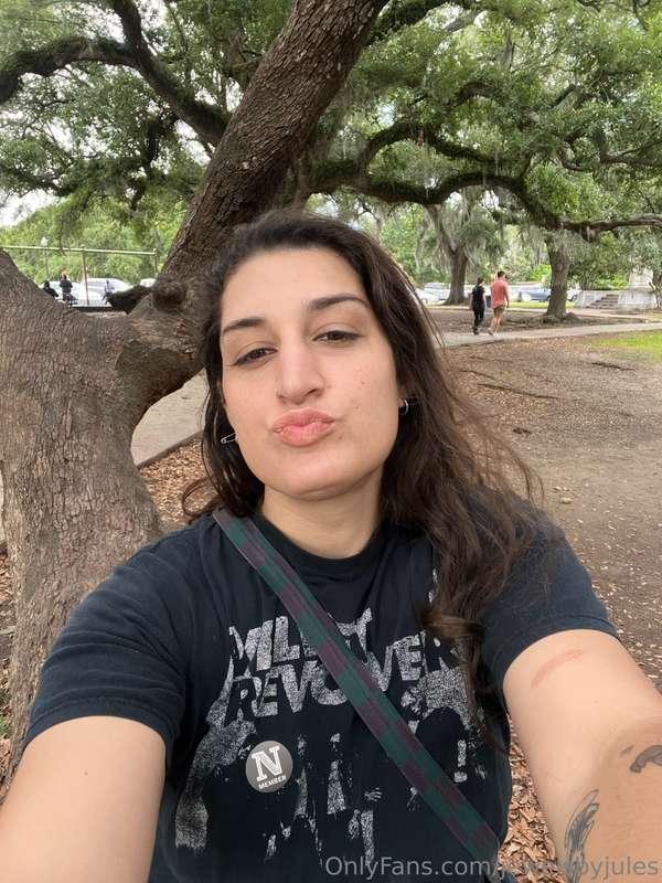 ✨🌲🌳✨