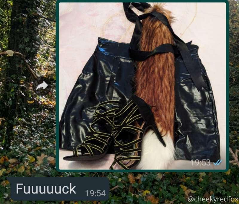 cheekyredfox image #0