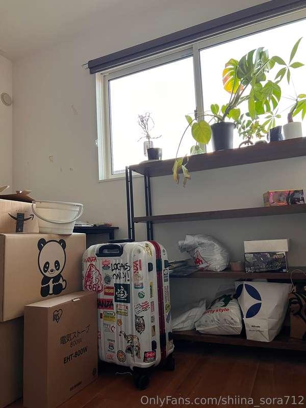 引っ越しの荷造り中！I'm packing for moving!