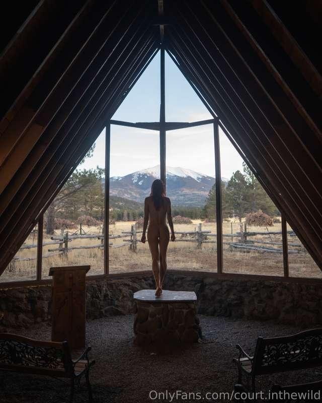 court.inthewild image #4