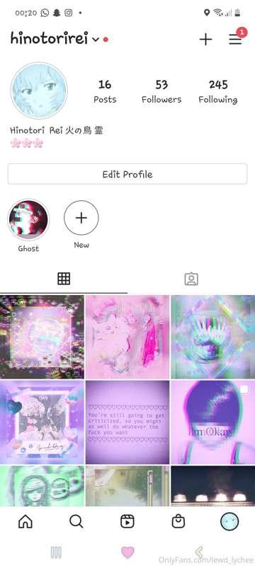 Go follow this weird Instagram account I made