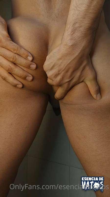 esenciadevatos image #0