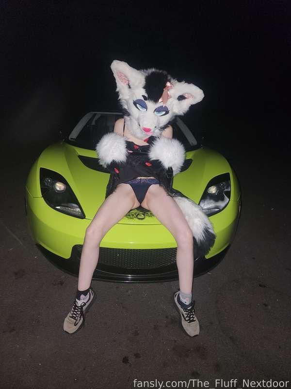 the_fluff_nextdoor image #4