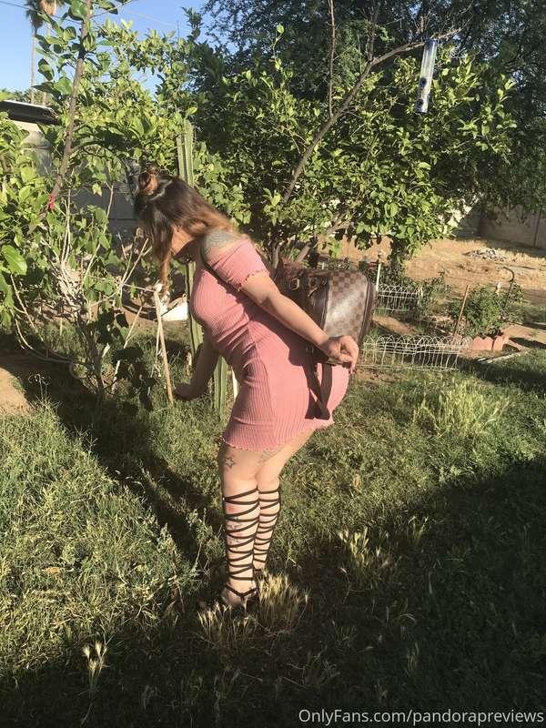 pandorapreviews image #0