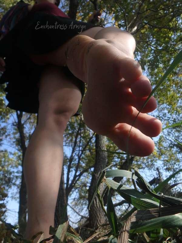 Tell me, little forest creature, how do you intend to make y..