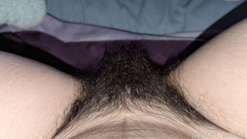 heres a few bush pics documenting the growth over the last couple months, look at the lack of hair on my thighs hehe. i didnt realize my bush could get even, well, bushier!
