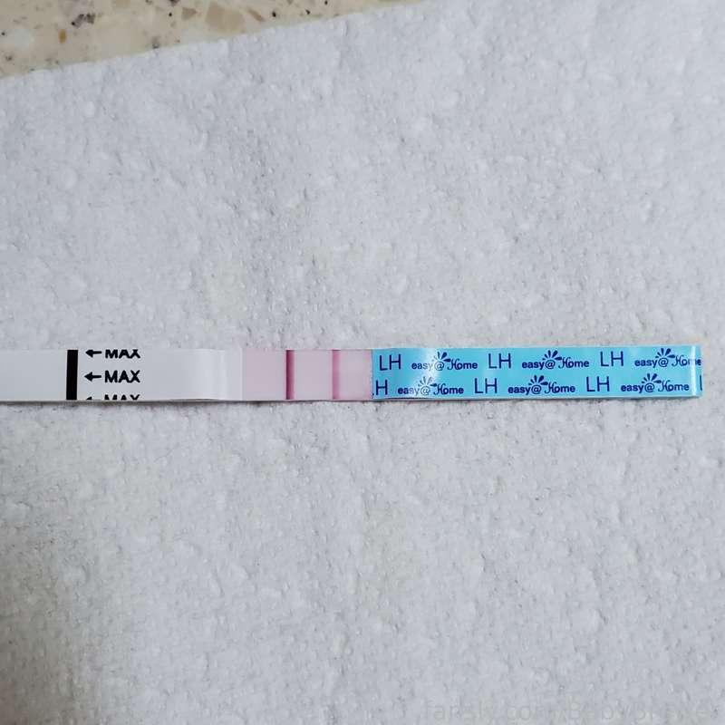 Holy sh*t, I'm ovulating! My pussy has been so wet and I've been so horny the past couple days, I thought I might be fertile... this LH test proves it! Would you cum in me today? 💦 Knowing I'd get pregnant?🤰

Ps. New breeding vids cumming soon hehe 👀