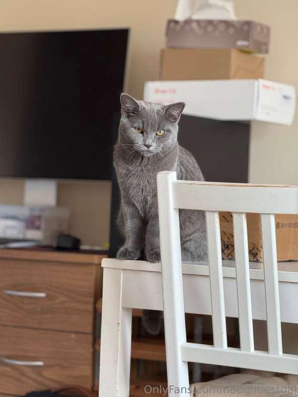 Dumpling asking me: “so when are you gonna feed me mommy?”