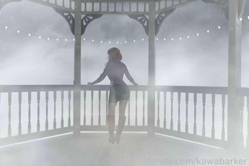 kawabarker image #3