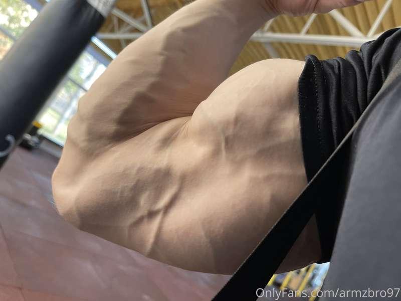 armzbro97 image #1