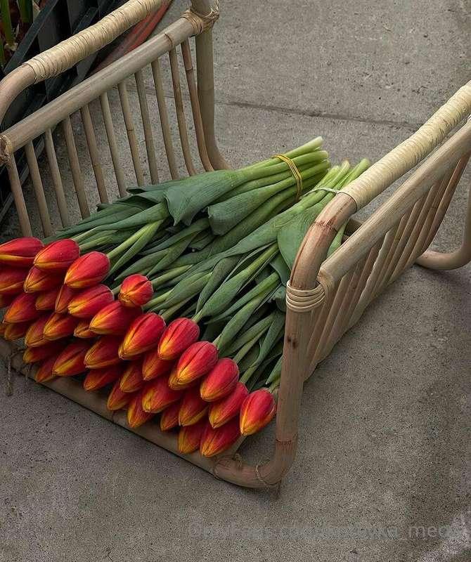 I have not received flowers for so long that I forgot their ..