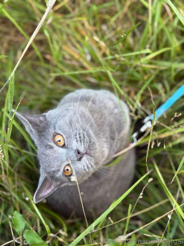 naughtiestgal image #1