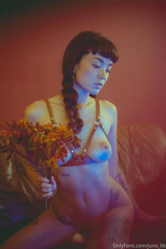 Flowers and Leather
photos by @ashleylfrench