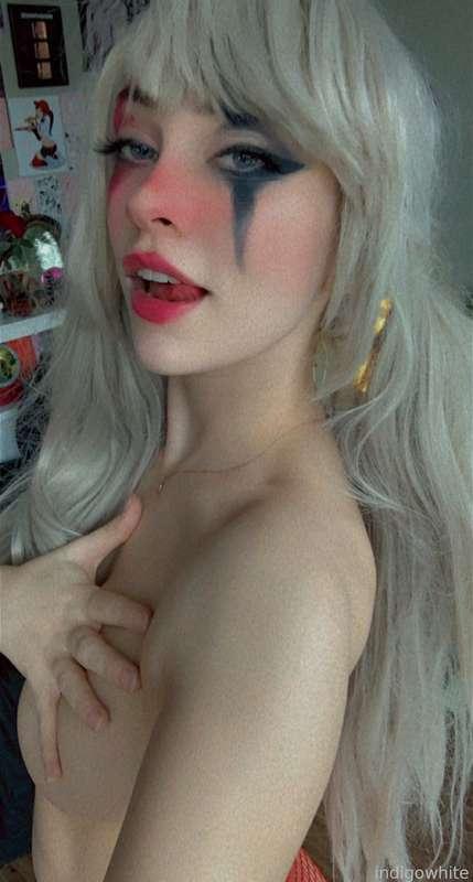 indigowhite image #163
