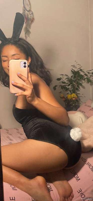 your fav bunny is back! can she hop onto your lap? 🐰