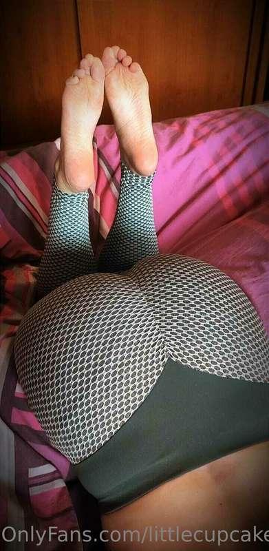 Bien le bonjour ! 💜  Nouveau jour, nouvelle photo ! 💜  Toujo..