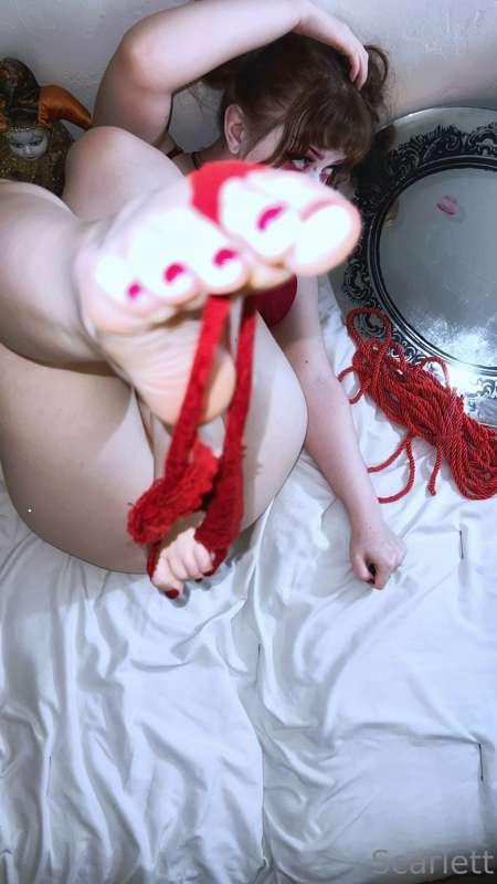 scarlettclown image #26