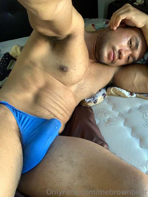 mebrownbear image #1